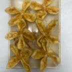 Best Krab Rangoon (6pcs) in Temple Terrace, FL